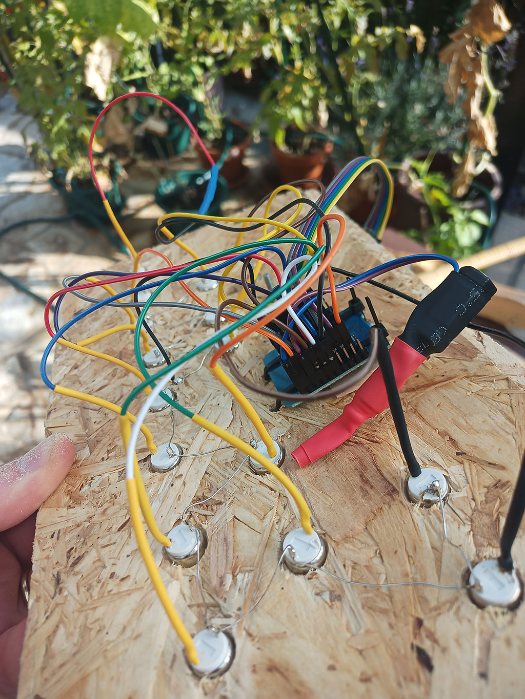 Flippi – Nahaufnahme Taster