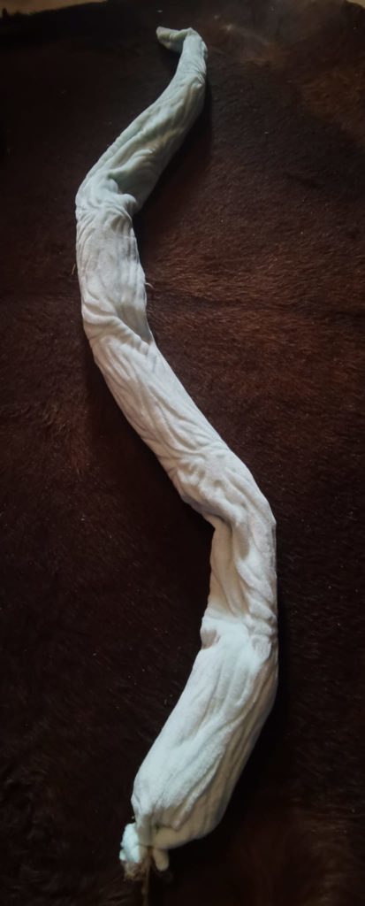 Elektrischer Wurm – kapselartiges Gehäuse mit Servo